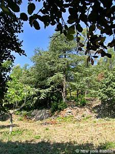 South France - Upper Var - 2 Bedroom - Villa accommodation - other (PR-744) photo 19 of 20