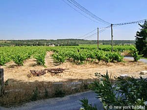 Sud de la France - Avignon et sa r&eacute;gion - T6 appartements location vacances - autre (PR-745) photo 1 de 25
