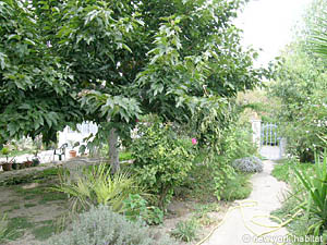 South France - Camargue - Blue Coast - 4 Bedroom - Duplex - Villa accommodation - other (PR-760) photo 12 of 19