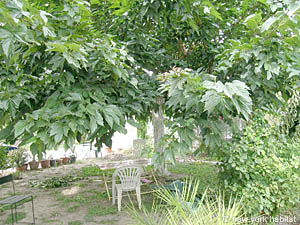 South France - Camargue - Blue Coast - 4 Bedroom - Duplex - Villa accommodation - other (PR-760) photo 14 of 19