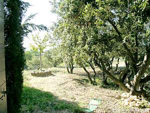 South France - Provence Luberon - 5 Bedroom - Mas accommodation - bedroom 2 (PR-766) photo 7 of 8