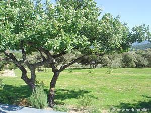 South France - Provence Luberon - 5 Bedroom - Mas accommodation - other (PR-766) photo 32 of 37