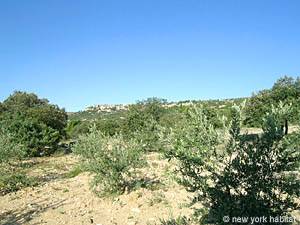 South France - Provence Luberon - 5 Bedroom - Mas accommodation - other (PR-766) photo 19 of 37