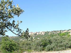 South France - Provence Luberon - 5 Bedroom - Mas accommodation - other (PR-766) photo 29 of 37