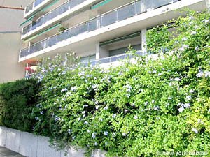 South France - French Riviera - 2 Bedroom accommodation - other (PR-768) photo 4 of 10