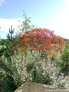 Sud della Francia - Provenza - Luberon - 1 Camera appartamento casa vacanze - altro (PR-776) photo 8 di 34