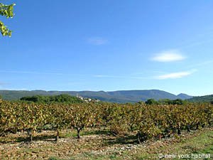 Sud della Francia - Provenza - Luberon - 1 Camera appartamento casa vacanze - altro (PR-776) photo 31 di 34
