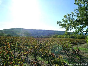 Sud della Francia - Provenza - Luberon - 1 Camera appartamento casa vacanze - altro (PR-776) photo 32 di 34