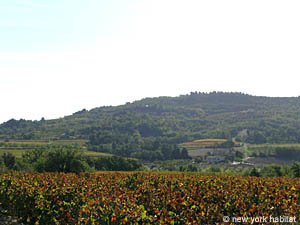 Sud della Francia - Provenza - Luberon - 1 Camera appartamento casa vacanze - altro (PR-776) photo 33 di 34