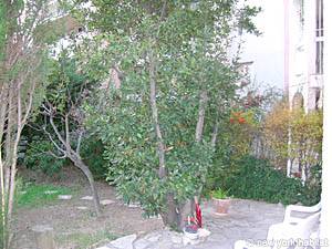 South France 1 Bedroom accommodation - other (PR-783) photo 2 of 24