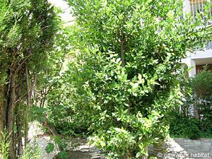 South France 1 Bedroom accommodation - other (PR-783) photo 6 of 24