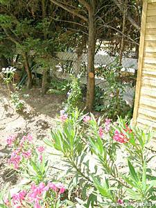 South France 1 Bedroom accommodation - other (PR-783) photo 8 of 24