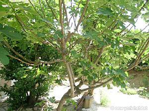 South France 1 Bedroom accommodation - other (PR-783) photo 9 of 24