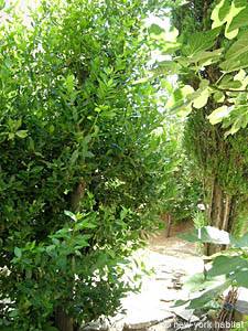 South France 1 Bedroom accommodation - other (PR-783) photo 11 of 24
