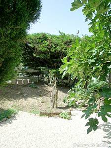 South France 1 Bedroom accommodation - other (PR-783) photo 13 of 24