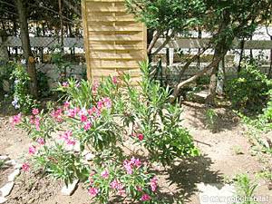 South France 1 Bedroom accommodation - other (PR-783) photo 14 of 24