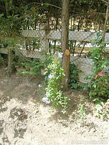 South France 1 Bedroom accommodation - other (PR-783) photo 15 of 24
