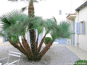 Sur de Francia - Riviera Francesa - Estudio alojamiento - otras (PR-788) photo 5 de 16