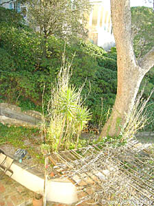 Sud de la France - Aix en Provence - Marseille - T3 appartements location vacances - autre (PR-791) photo 5 de 10