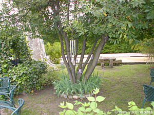 Sur de Francia - Alpilles - 7 Dormitorios - Casa de Campo alojamiento - otras (PR-792) photo 7 de 66