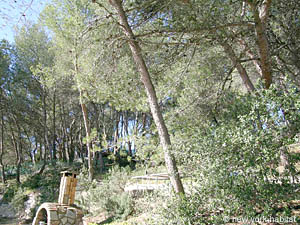 South France - French Riviera - 3 Bedroom - Villa accommodation - other (PR-804) photo 13 of 27