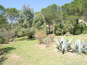 South France - Upper Var - 4 Bedroom - Villa accommodation - other (PR-816) photo 26 of 47