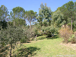 South France - Upper Var - 4 Bedroom - Villa accommodation - other (PR-816) photo 28 of 47