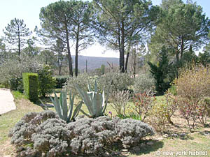 South France - Upper Var - 4 Bedroom - Villa accommodation - other (PR-816) photo 39 of 47