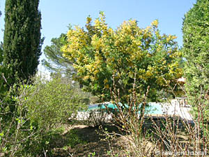 South France - Upper Var - 4 Bedroom - Villa accommodation - other (PR-816) photo 41 of 47
