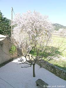 Sud de la France - Aix en Provence - Marseille - T5 - Mas appartements location vacances - autre (PR-818) photo 11 de 28