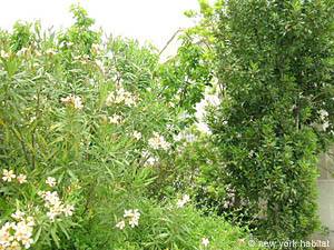 South France - Aix en Provence - Marseilles - 4 Bedroom - Villa accommodation - other (PR-854) photo 22 of 39