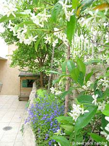 South France - Aix en Provence - Marseilles - 4 Bedroom - Villa accommodation - other (PR-854) photo 39 of 39
