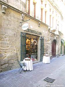 South France - Avignon Region - Studio - Duplex accommodation - other (PR-860) photo 1 of 3