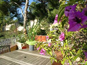 South France 3 Bedrooms - Villa accommodation other photo 75