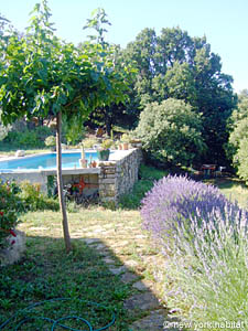 South France - Montpellier Region - 2 Bedroom - Villa accommodation - other (PR-876) photo 6 of 55