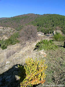 Sud de la France T3 - Villa appartements location vacances autre photo 83