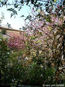 South France 2 Bedroom - Maison de Village accommodation - kitchen (PR-884) photo 8 of 10