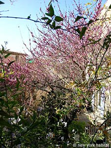 South France 2 Bedroom - Maison de Village accommodation - other (PR-884) photo 5 of 8
