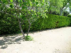 S&uuml;dfrankreich - Aix en Provence - Marseille - 3 Zimmer - Villa ferienwohnung - andere (PR-889) photo 1 von 25