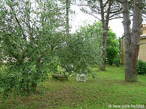 Sud de la France - Avignon et sa r&eacute;gion - T6 - Villa appartements location vacances - autre (PR-900) photo 16 de 27
