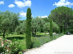 Sud de la France - Aix en Provence - Marseille - T6 - Villa logements location appartements - autre (PR-908) photo 20 de 31