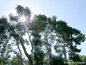 South France - Aix en Provence - Marseilles - 2 Bedroom - Villa apartment - other (PR-911) photo 12 of 33