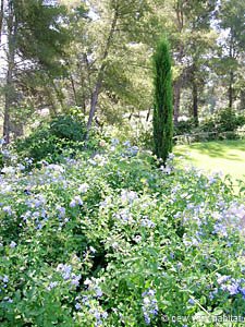 South France - Aix en Provence - Marseilles - 2 Bedroom - Villa apartment - other (PR-911) photo 21 of 33