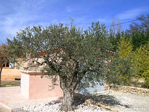S&uuml;dfrankreich - Provence - Luberon - 4 Zimmer - Villa wohnungsvermietung - andere (PR-947) photo 13 von 24