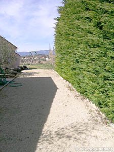 S&uuml;dfrankreich - Provence - Luberon - 4 Zimmer - Villa wohnungsvermietung - andere (PR-947) photo 24 von 24