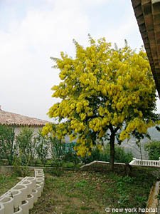 South France - French Riviera - 4 Bedroom - Villa accommodation - other (PR-951) photo 30 of 30
