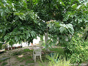 Sur de Francia - Camargue - C&ocirc;te Bleue - 3 Dormitorios - D&uacute;plex - Villa alojamiento - otras (PR-955) photo 9 de 20