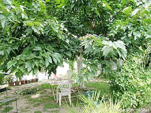 South France - Camargue - Blue Coast - 2 Bedroom - Duplex - Villa accommodation - Apartment reference PR-956