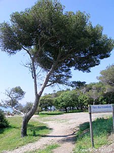 Sud della Francia - Costa Azzurra - 2 Camere da letto - Villa appartamento casa vacanze - altro (PR-973) photo 13 di 15