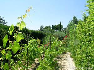 Sud de la France - Provence - Luberon - T4 - Villa appartement location vacances - autre (PR-981) photo 13 sur 28